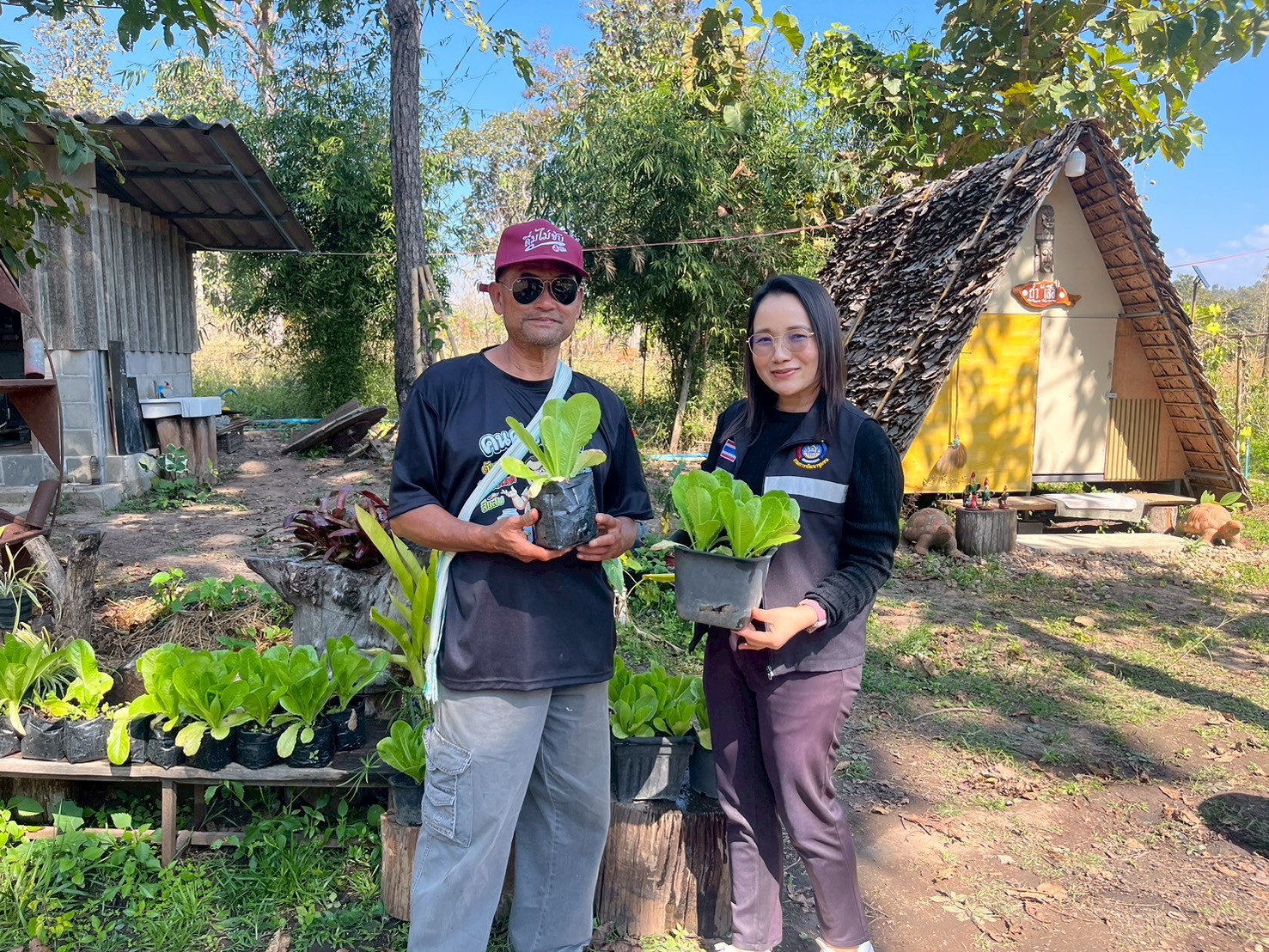 👨‍🌾🧅🍠 สำนักงานพัฒนาชุมชนอำเภอขุนยวมน้อมนำแนวพระราชดำริของสมเด็จพระกนิษฐาธิราชเจ้ากรมสมเด็จพระเทพรัตนราชสุดาฯสยามบรมราชกุมารี สู่การปฏิบัติ ปลูกผักสวนครัวเพื่อสร้างความมั่นคงทางอาหาร 👨‍🌾🧅🍠